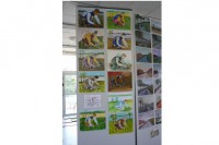 /album/galerie-de-photos-expo-2015/coupeur-d-herbes-copie-jpg/